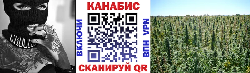 Конопля конопля  Петровск 